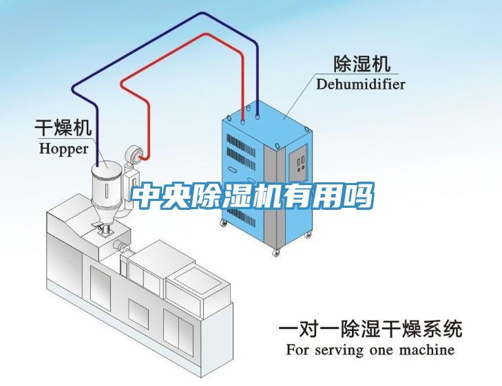 中央91免费网站在线观看有用吗