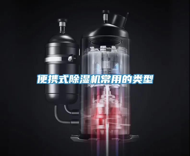 便携式91免费网站在线观看常用的类型