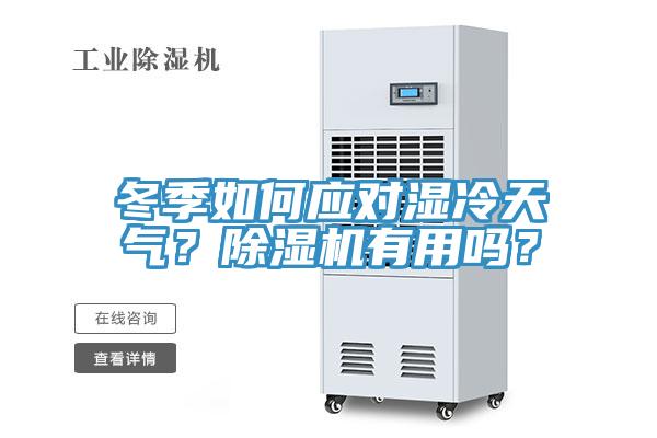 冬季如何应对湿冷天气？91免费网站在线观看有用吗？