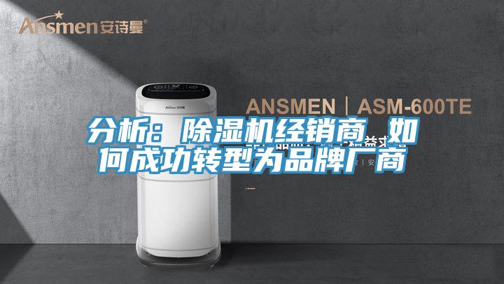 分析：91免费网站在线观看经销商 如何成功转型为品牌厂商