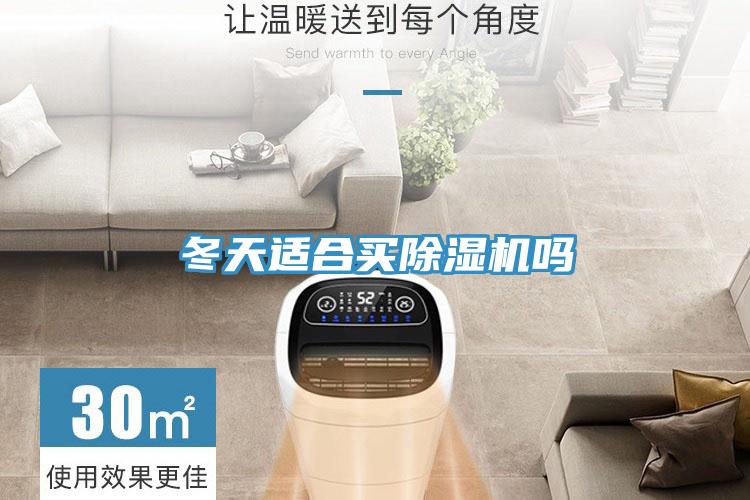 冬天适合买91免费网站在线观看吗