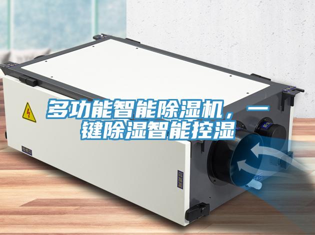 多功能智能91免费网站在线观看，一键除湿智能控湿