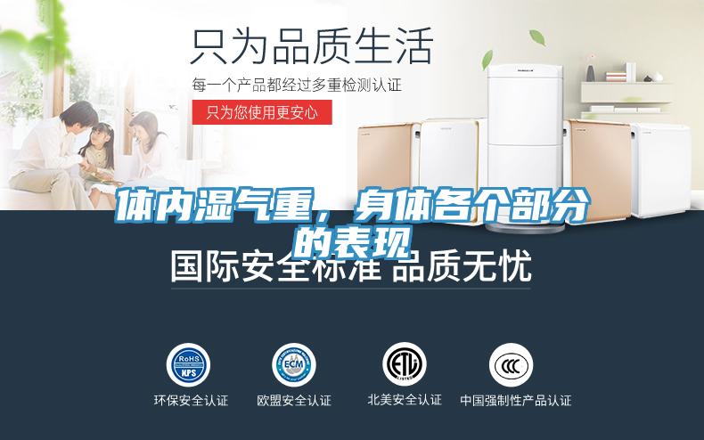 体内湿气重，身体各个部分的表现