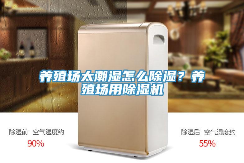 养殖场太潮湿怎么除湿？养殖场用91免费网站在线观看