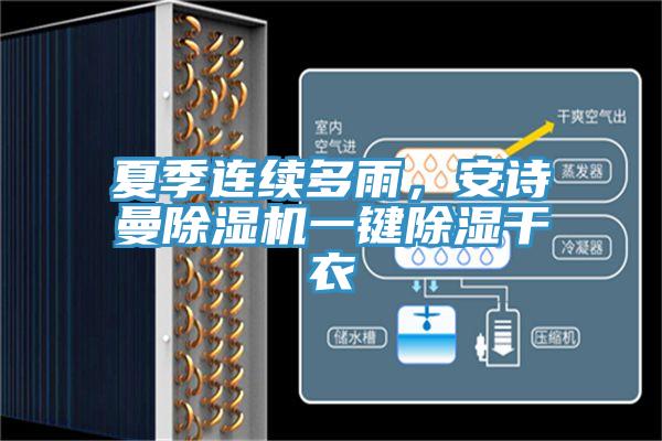 夏季连续多雨，91免费看黄片91免费网站在线观看一键除湿干衣