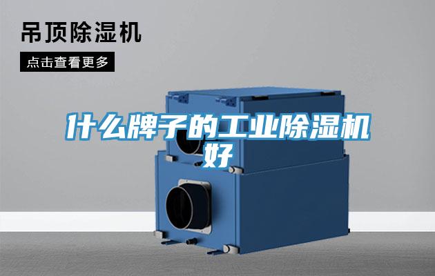 什么牌子的工业91免费网站在线观看好
