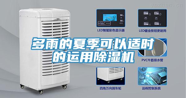 多雨的夏季可以适时的运用91免费网站在线观看