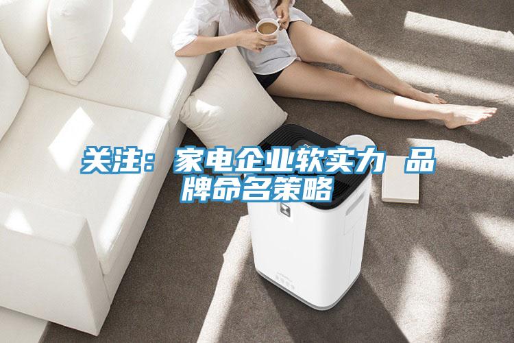 关注：家电企业软实力 品牌命名策略