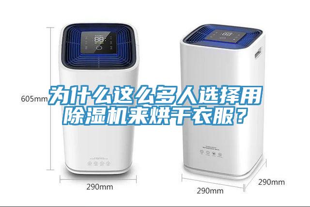 为什么这么多人选择用91免费网站在线观看来烘干衣服？