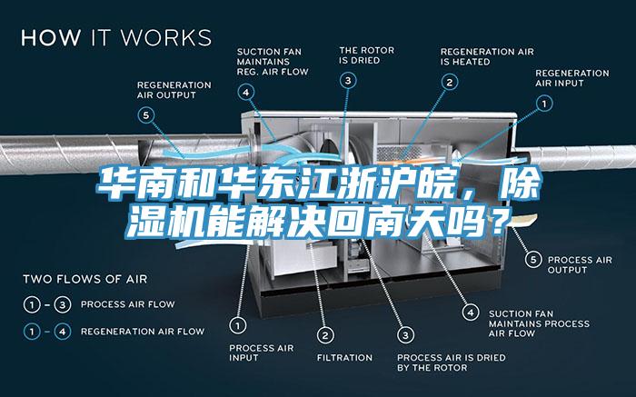华南和华东江浙沪皖，91免费网站在线观看能解决回南天吗？