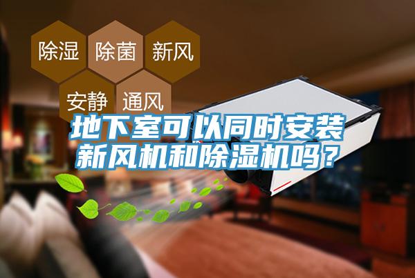 地下室可以同时安装新风机和91免费网站在线观看吗？