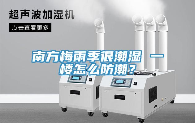 南方梅雨季很潮湿 一楼怎么防潮？