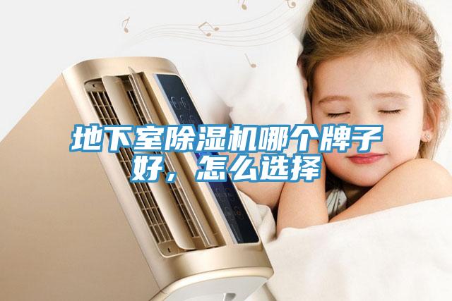 地下室91免费网站在线观看哪个牌子好，怎么选择