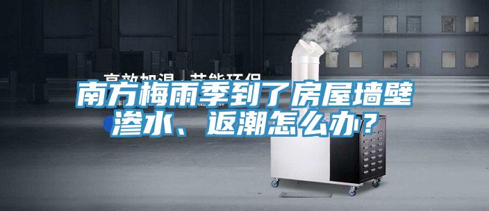 南方梅雨季到了房屋墙壁渗水、返潮怎么办？