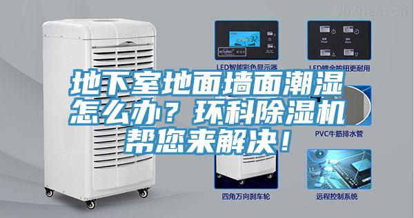 地下室地面墙面潮湿怎么办？环科91免费网站在线观看帮您来解决！