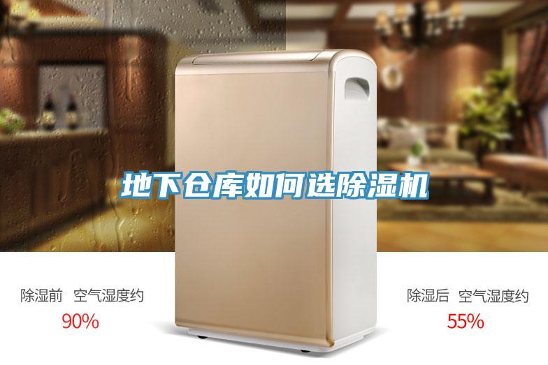 地下仓库如何选91免费网站在线观看