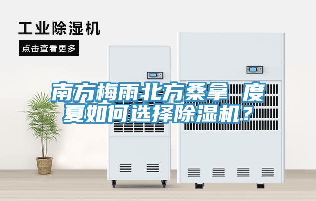 南方梅雨北方桑拿 度夏如何选择91免费网站在线观看？