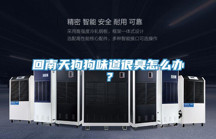 回南天狗狗味道很臭怎么办？