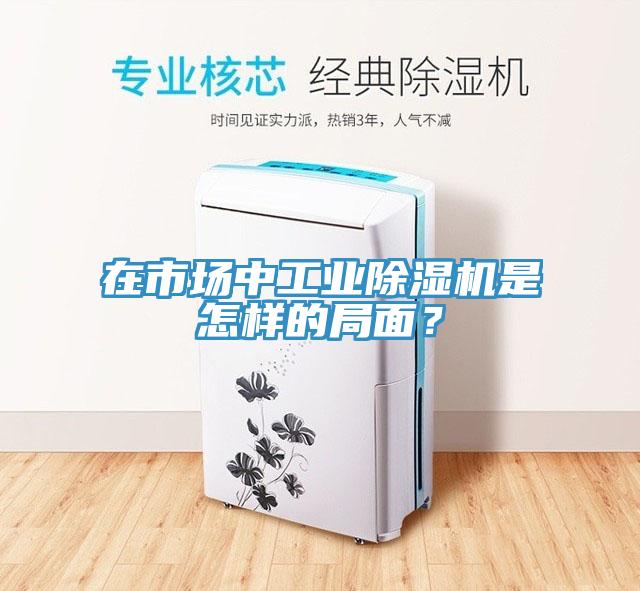 在市场中工业91免费网站在线观看是怎样的局面？