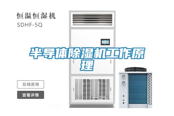 半导体91免费网站在线观看工作原理