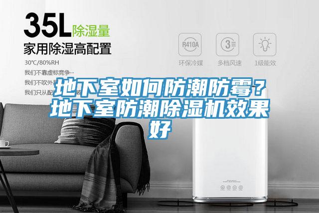 地下室如何防潮防霉？地下室防潮91免费网站在线观看效果好