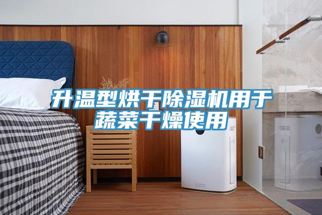 升温型烘干91免费网站在线观看用于蔬菜干燥使用