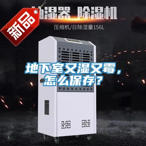 地下室又湿又霉，怎么保存？