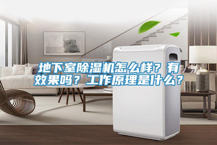 地下室91免费网站在线观看怎么样？有效果吗？工作原理是什么？
