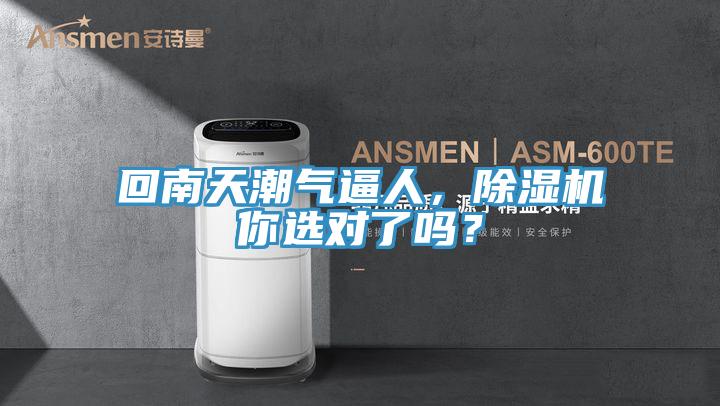 回南天潮气逼人，91免费网站在线观看你选对了吗？