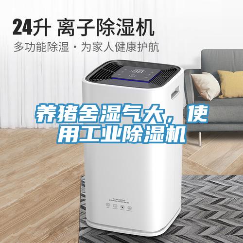 养猪舍湿气大，使用工业91免费网站在线观看