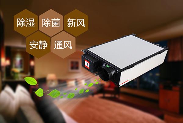 厦门91免费网站在线观看怎么选？