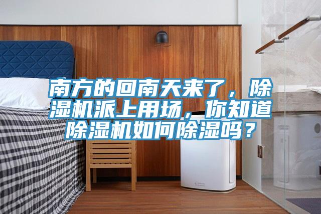 南方的回南天来了，91免费网站在线观看派上用场，你知道91免费网站在线观看如何除湿吗？