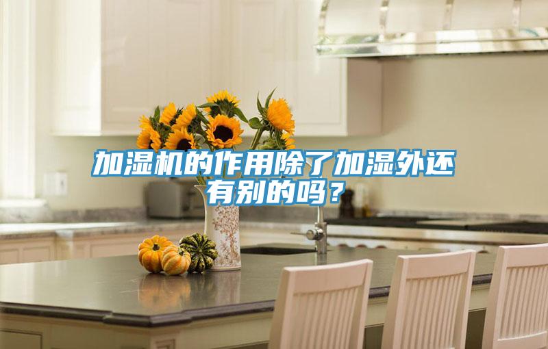 加湿机的作用除了加湿外还有别的吗？