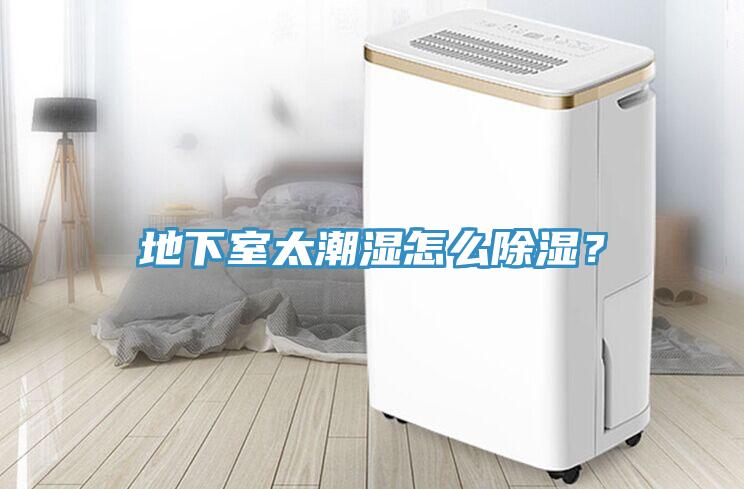 地下室太潮湿怎么除湿？