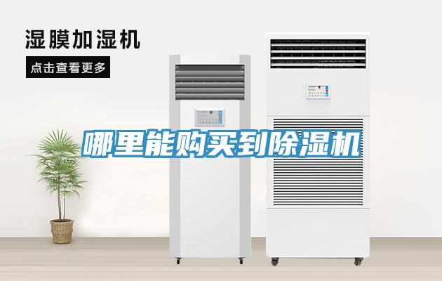 哪里能购买到91免费网站在线观看