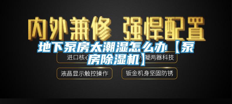 地下泵房太潮湿怎么办【泵房91免费网站在线观看】