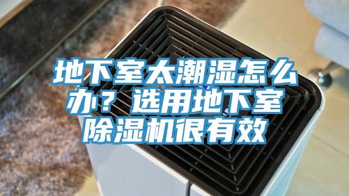 地下室太潮湿怎么办？选用地下室91免费网站在线观看很有效