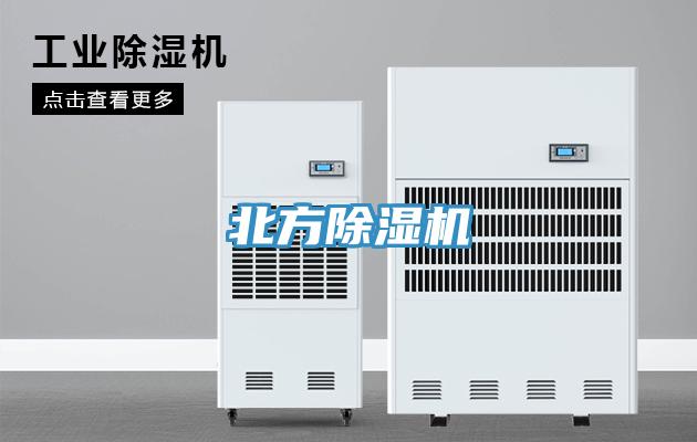 北方91免费网站在线观看