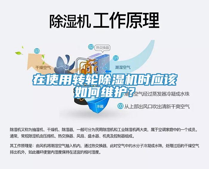 在使用转轮91免费网站在线观看时应该如何维护？