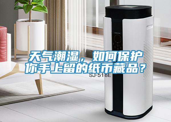 天气潮湿，如何保护你手上留的纸币藏品？
