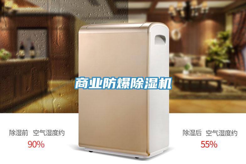商业防爆91免费网站在线观看