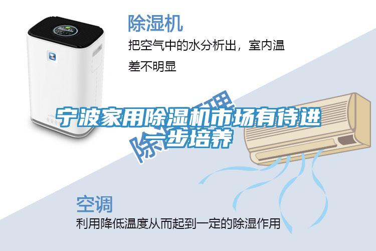 宁波家用91免费网站在线观看市场有待进一步培养