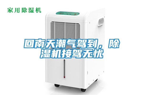 回南天潮气驾到，91免费网站在线观看接驾无忧