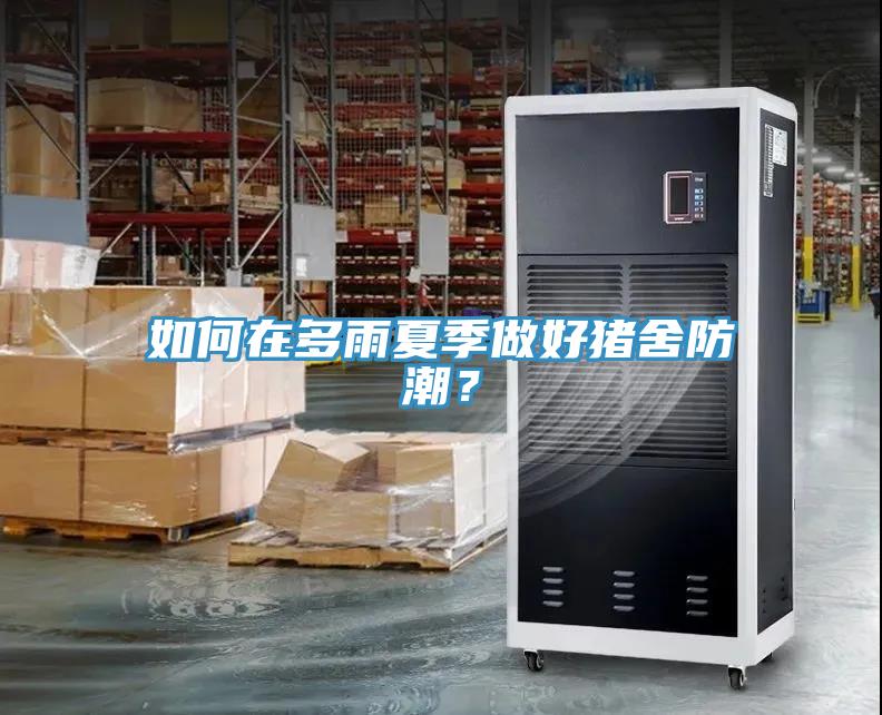 如何在多雨夏季做好猪舍防潮？
