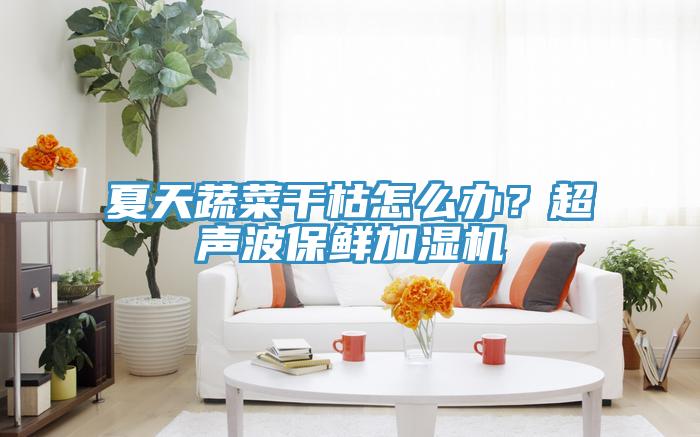 夏天蔬菜干枯怎么办？超声波保鲜加湿机