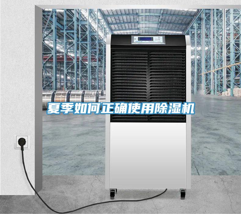 夏季如何正确使用91免费网站在线观看