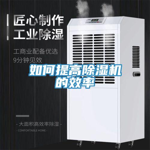 如何提高91免费网站在线观看的效率