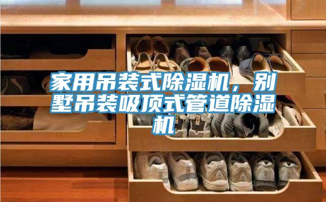 家用吊装式91免费网站在线观看，别墅吊装吸顶式管道91免费网站在线观看