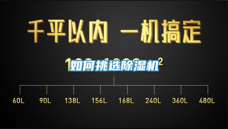 如何挑选91免费网站在线观看
