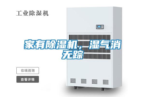家有91免费网站在线观看，湿气消无踪